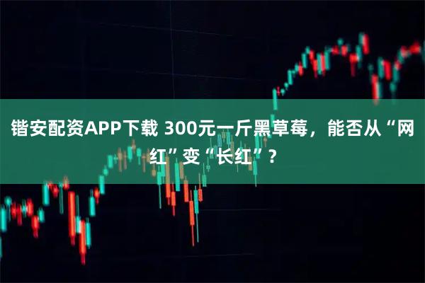 锴安配资APP下载 300元一斤黑草莓，能否从“网红”变“长红”？