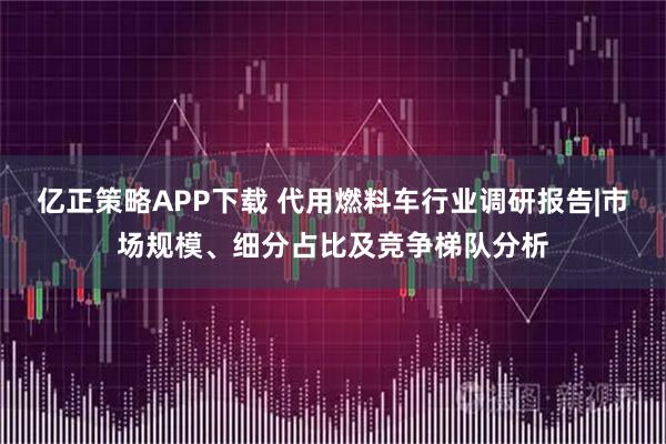 亿正策略APP下载 代用燃料车行业调研报告|市场规模、细分占比及竞争梯队分析