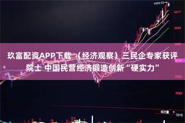 玖富配资APP下载 （经济观察）三民企专家获评院士 中国民营经济锻造创新“硬实力”