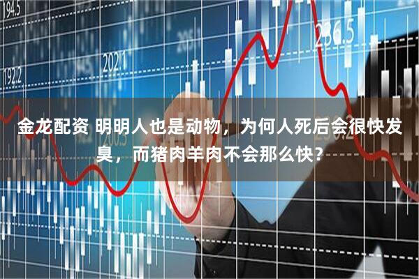 金龙配资 明明人也是动物，为何人死后会很快发臭，而猪肉羊肉不会那么快？