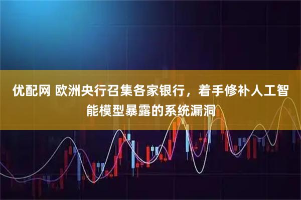 优配网 欧洲央行召集各家银行，着手修补人工智能模型暴露的系统漏洞